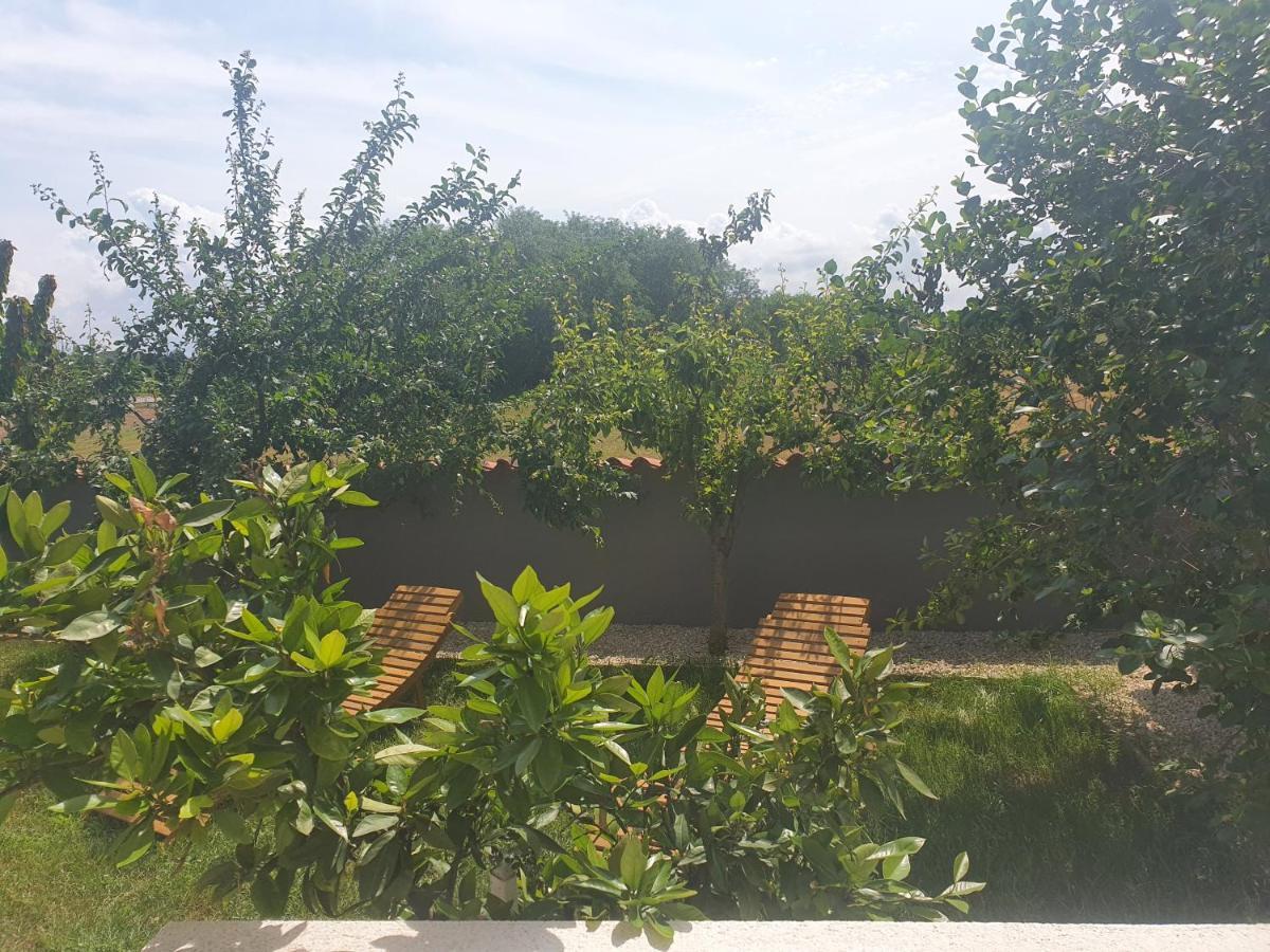 Villa Ancora Savudrija Kültér fotó