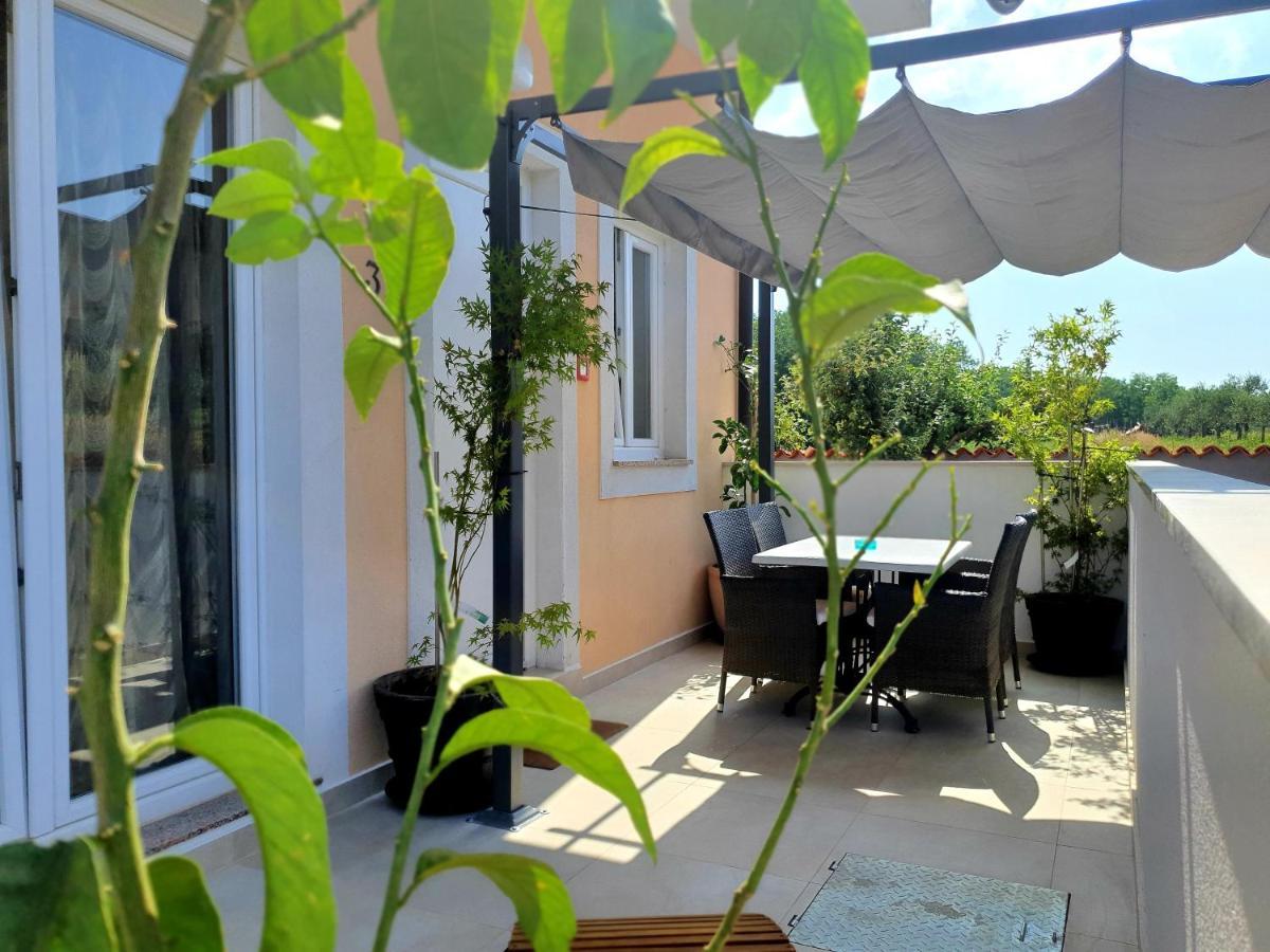Villa Ancora Savudrija Kültér fotó
