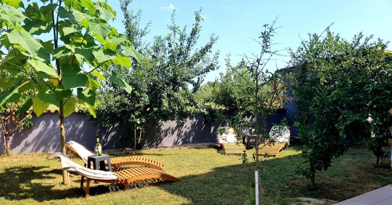 Villa Ancora Savudrija Kültér fotó